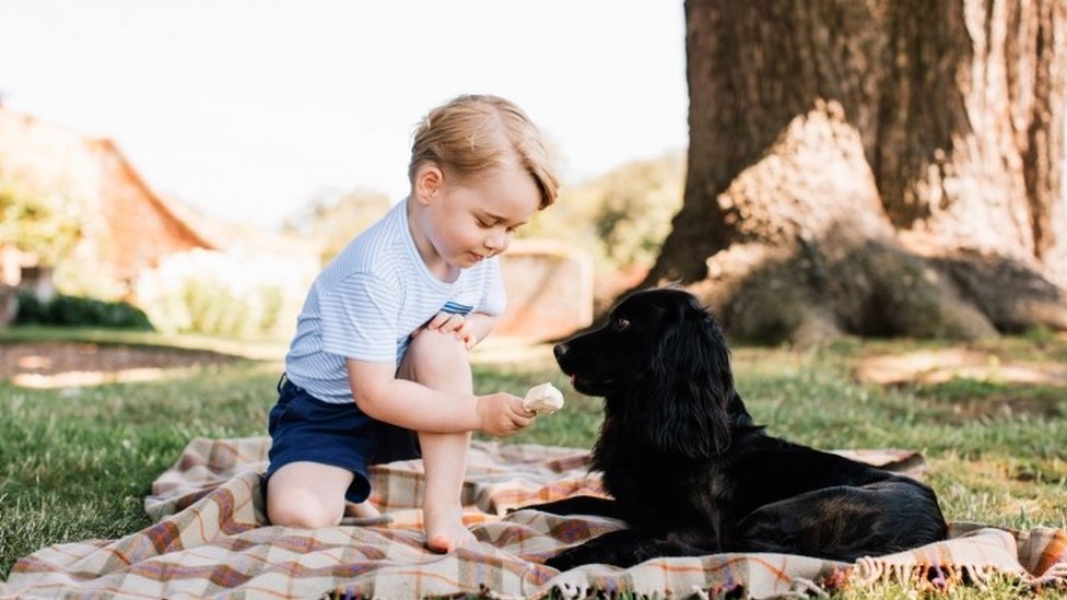 Принц Джордж с семейной собакой Лупо