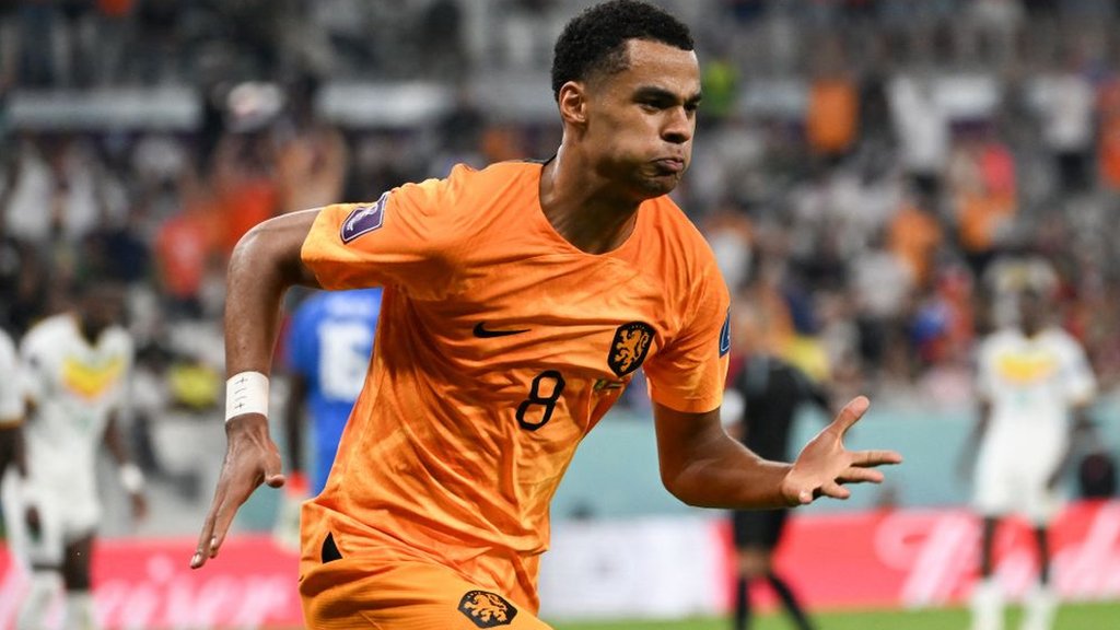 Senegal 0-2 Netherlands: Late goals give Dutch victory in World Cup opener