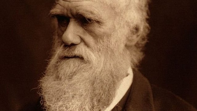 A portrait of Charles Darwin