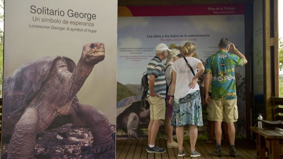 El 75% de la actividad económica en Galápagos depende del turismo.