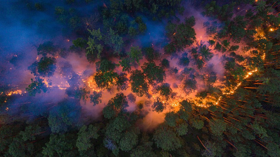 Forest fire in Siberia from above