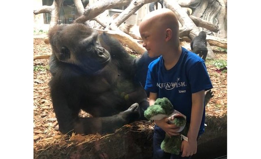 Garret Matthias con un gorila en el zoológico