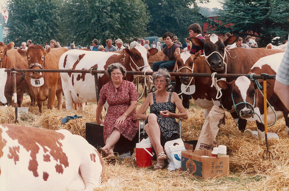 Две женщины сидят на тюках сена и едят пищу в окружении коров