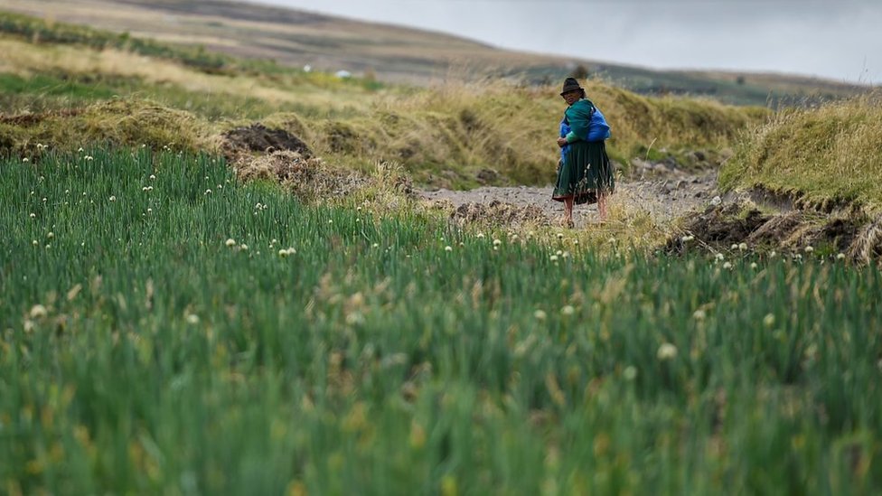 Mujer en Cayambe