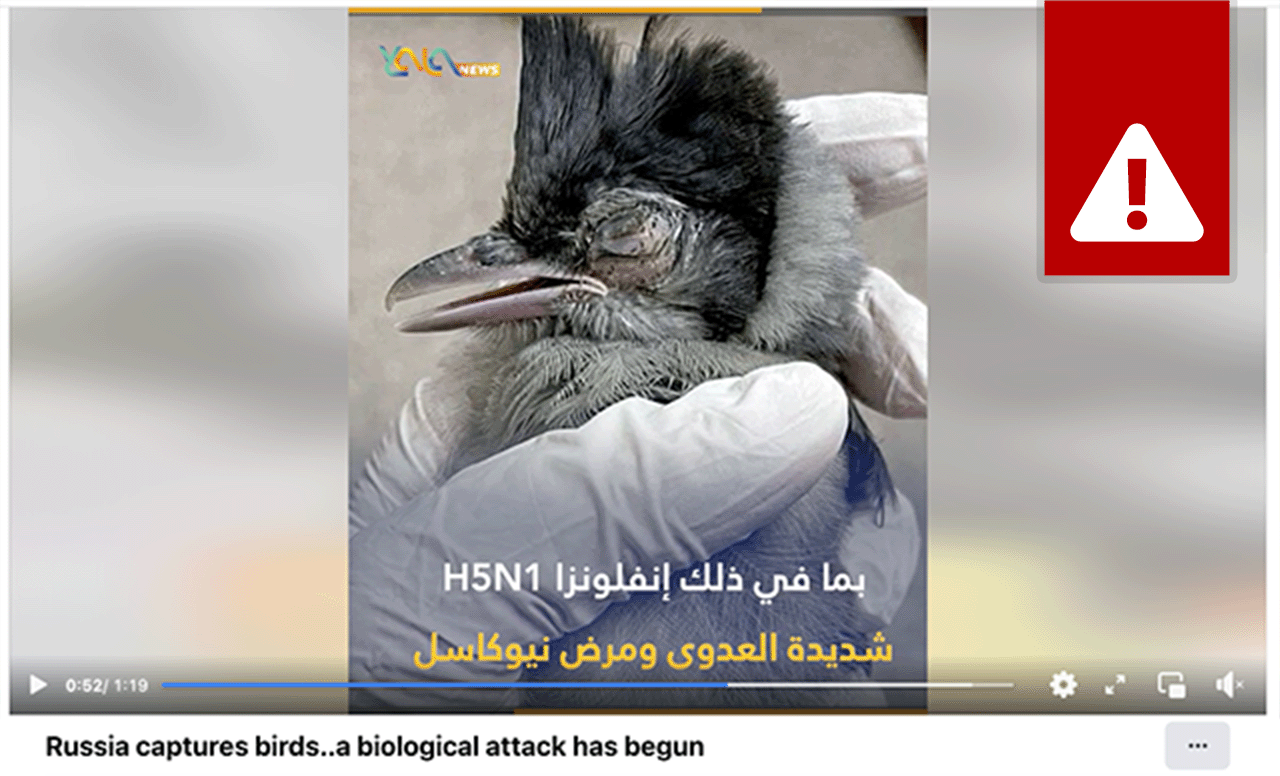 لقطة مأخوذة من قصة كاذبة نشرتها المنصة تزعم أن أوكرانيا تنشر الطيور كأسلحة بيولوجية