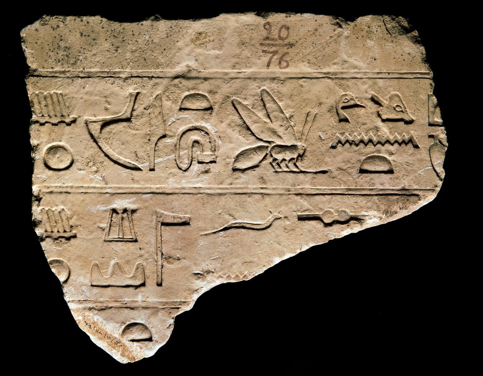 Fragmento de jeroglíficos egipcios que incluyen un símbolo de abeja.