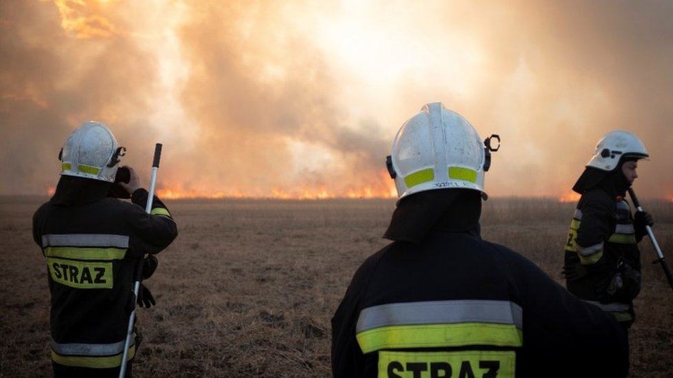 Wildfires rip through Poland's biggest national park