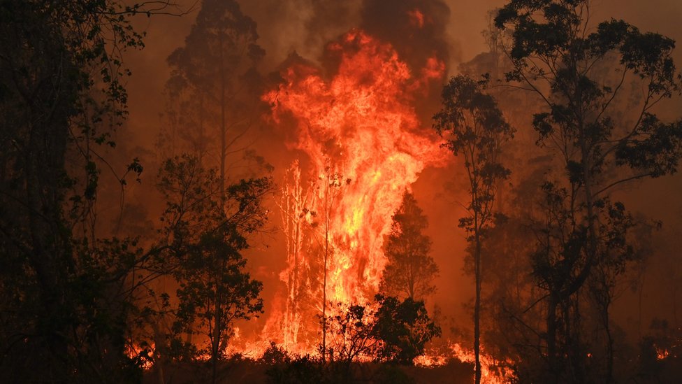 Пожары в Бобине, в 350 км к северу от Сиднея, 9 ноября