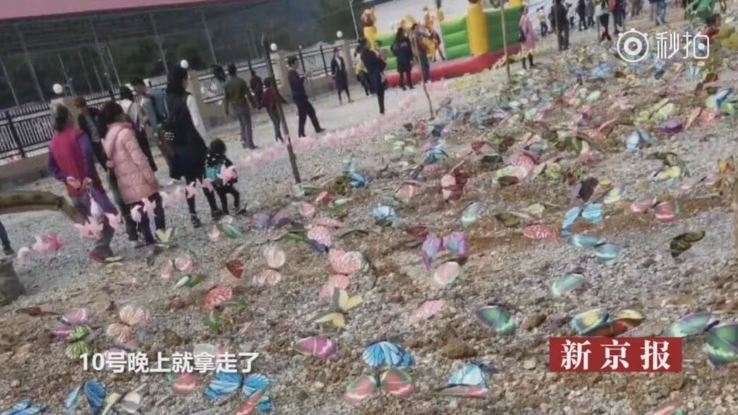 Фотография сделана посетителями выставки бабочек, проходившей в Гуаньси, Китай, 10 декабря 2017 г.
