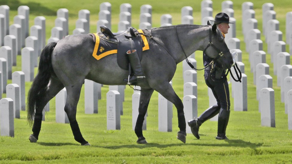 Лошадь без всадника проходит мимо надгробий во время церемонии почетного караула для офицера полиции Далласа Патрика Замаррипы на национальном кладбище Даллас-Форт-Уэрт в Далласе, суббота, 16 июля
