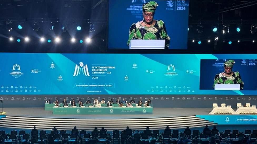 Ngozi Okonjo-Iweala addesses WTO delegates