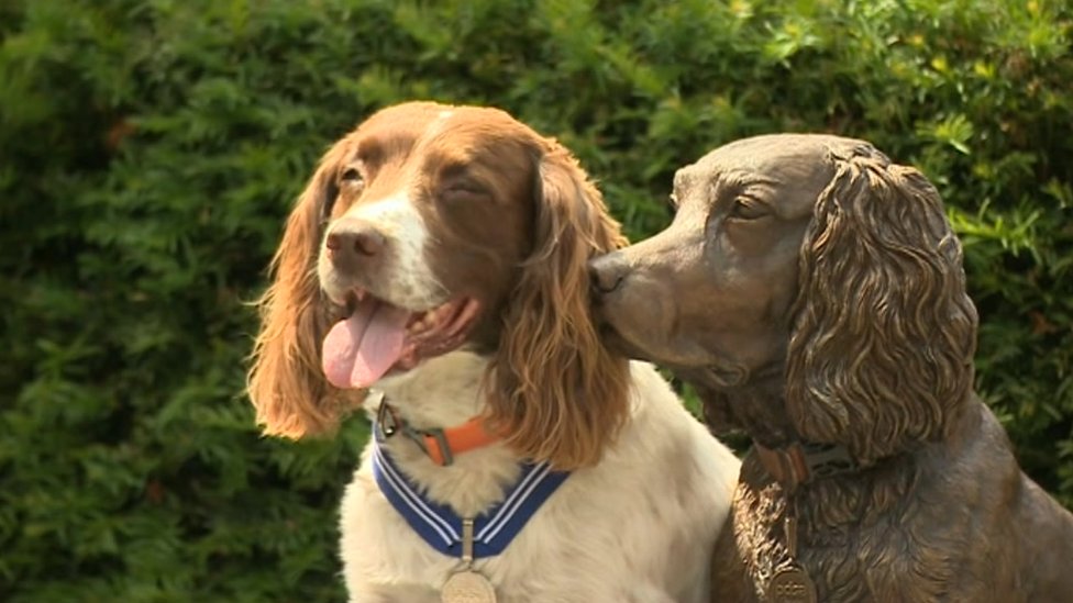 Max The Miracle Dog Immortalised In Bronze In Keswick Bbc News