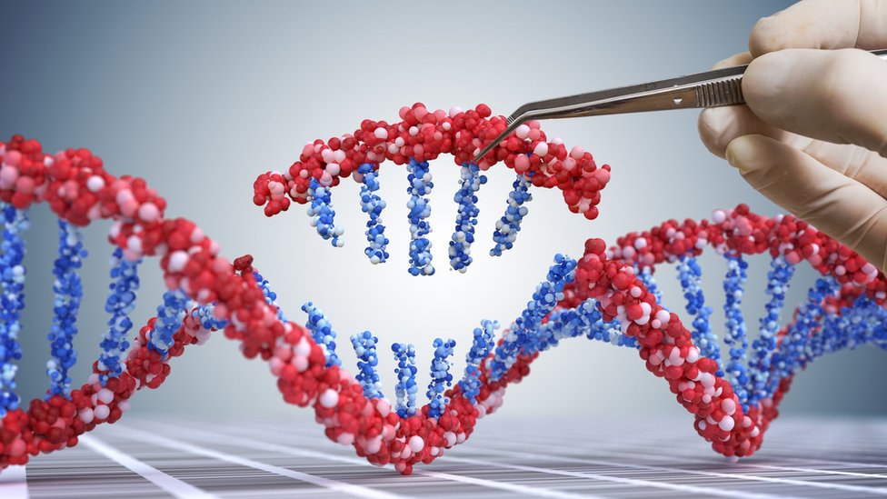 manipulación de ADN (ilustración)