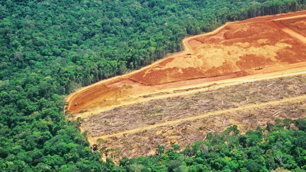 Bosque amazónico junto a un vasto terreno donde se talaron los árboles y se ve la tierra de color rojizo sin cobertura