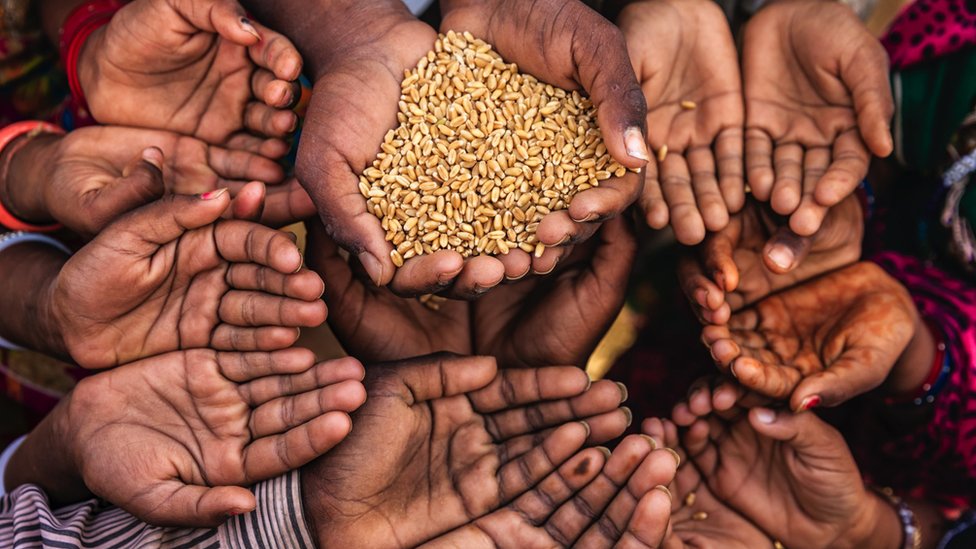 manos con alimentos