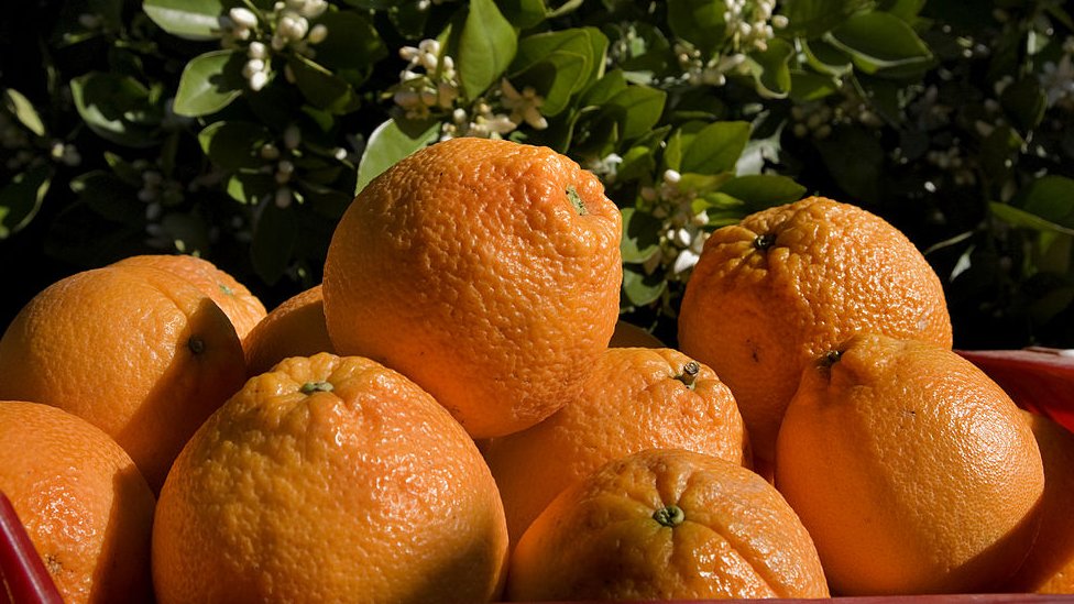 Naranjas.