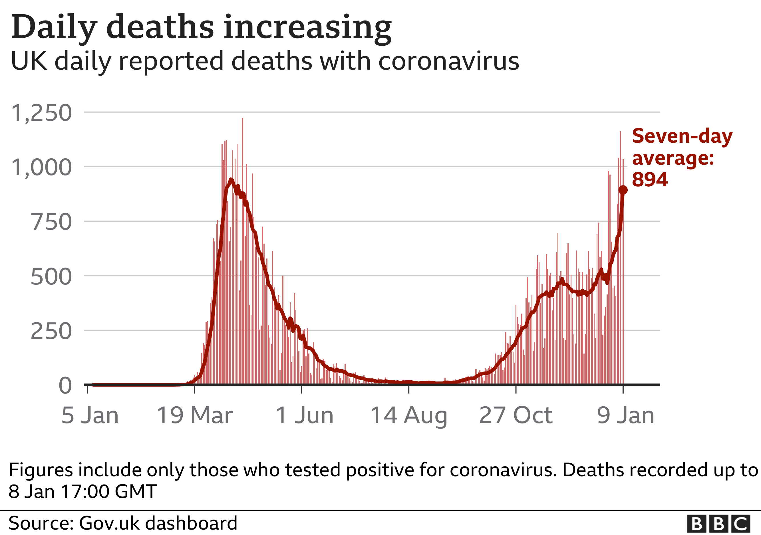 Graph showing number of daily deaths in the UK