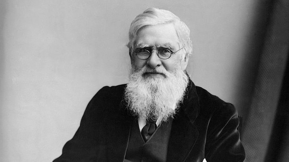 Alfred Wallace: el científico que descubrió la evolución (además de Darwin)  - BBC News Mundo