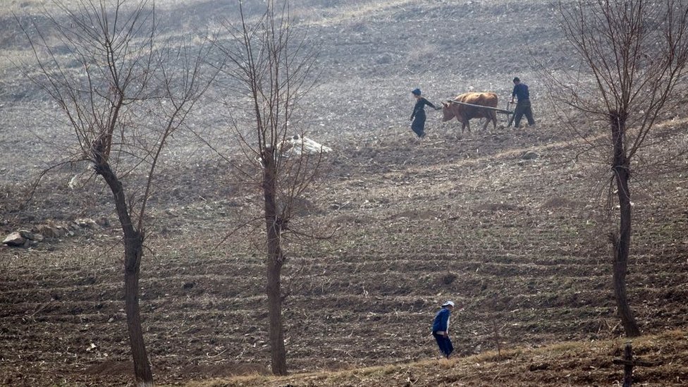 Campesinos norcoreanos trabajan en los campos cercanos a Sinuiju, frente a la ciudad fronteriza china de Dandong.