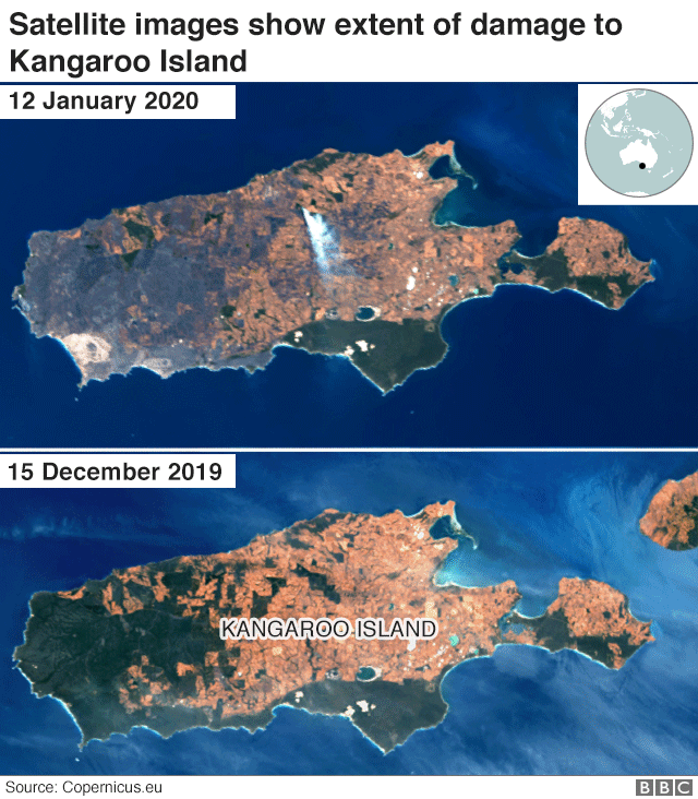 Спутниковый снимок, показывающий разрушения огнем на острове Кенгуру