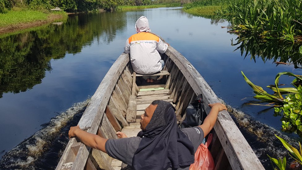 Mustafa, pawang orang utan rawa singkil aceh