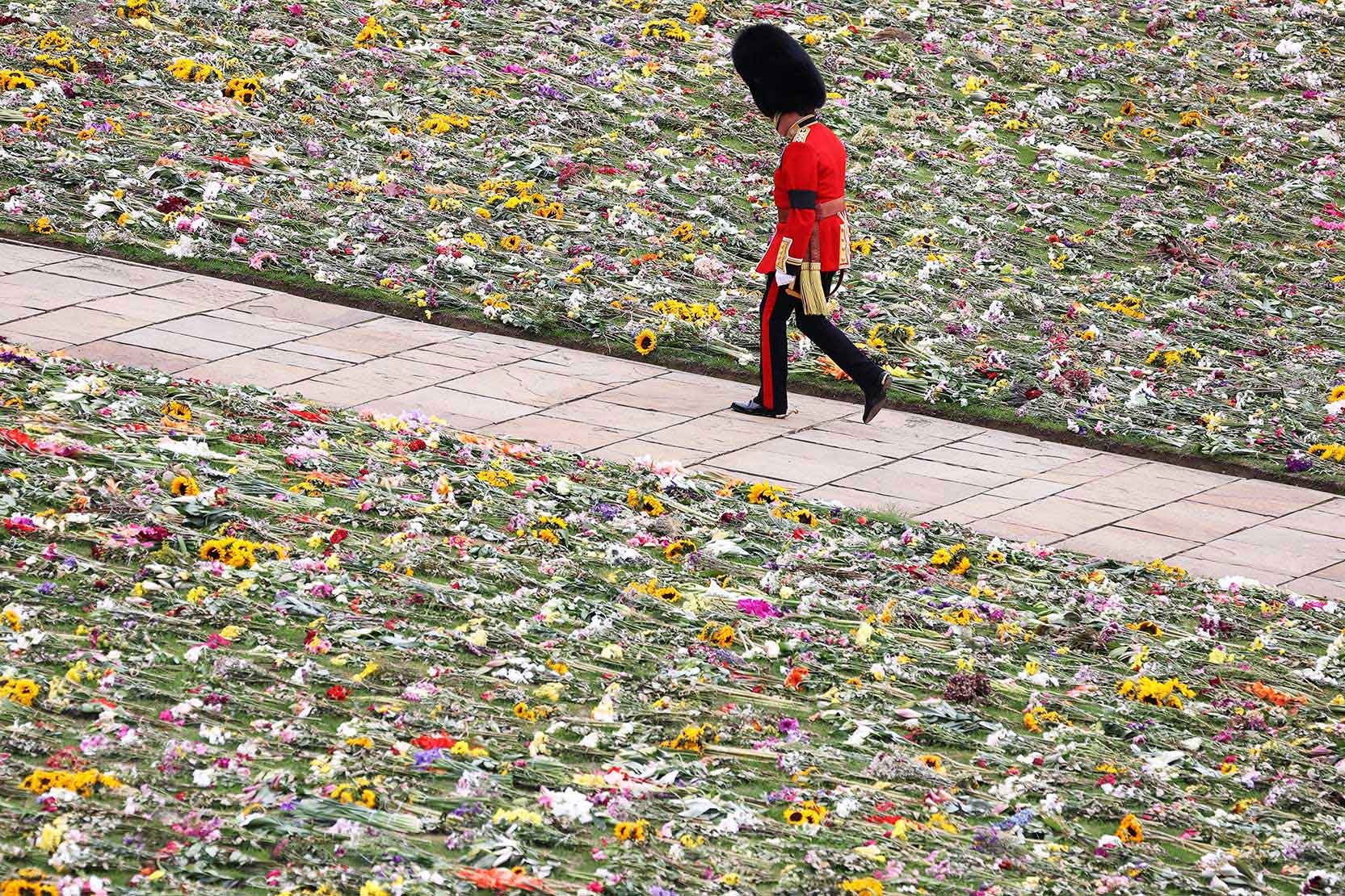 A member of the Coldstream Guards walking past a bed of flowers