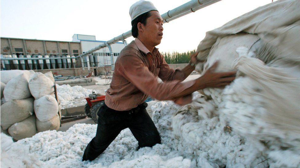 الولايات المتحدة تعتزم حظر استيراد منتجات إقليم شينجيانغ الصيني الذي يقطنه  مسلمو الإيغور - BBC News عربي