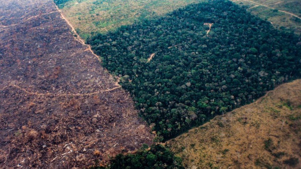 Área de mata cercada por áreas já desmatadas na Amazônia