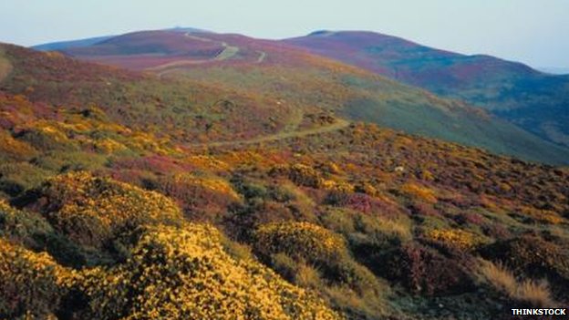 Clwydian Range