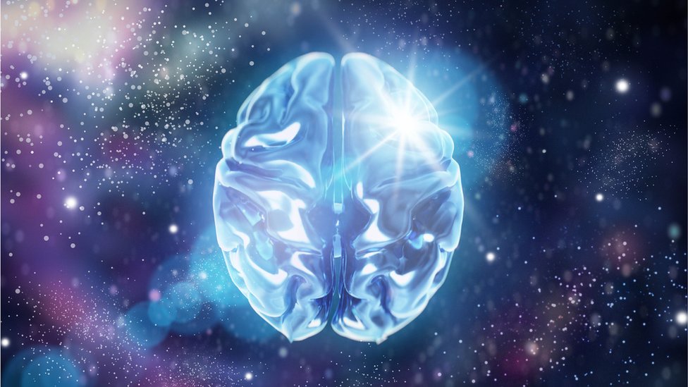 Un cerebro en el espacio