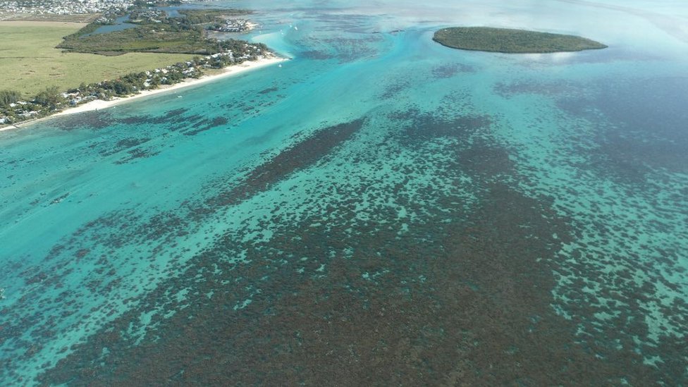"若潮"貨輪觸礁地點附近水域，部分珊瑚礁被溢油污染