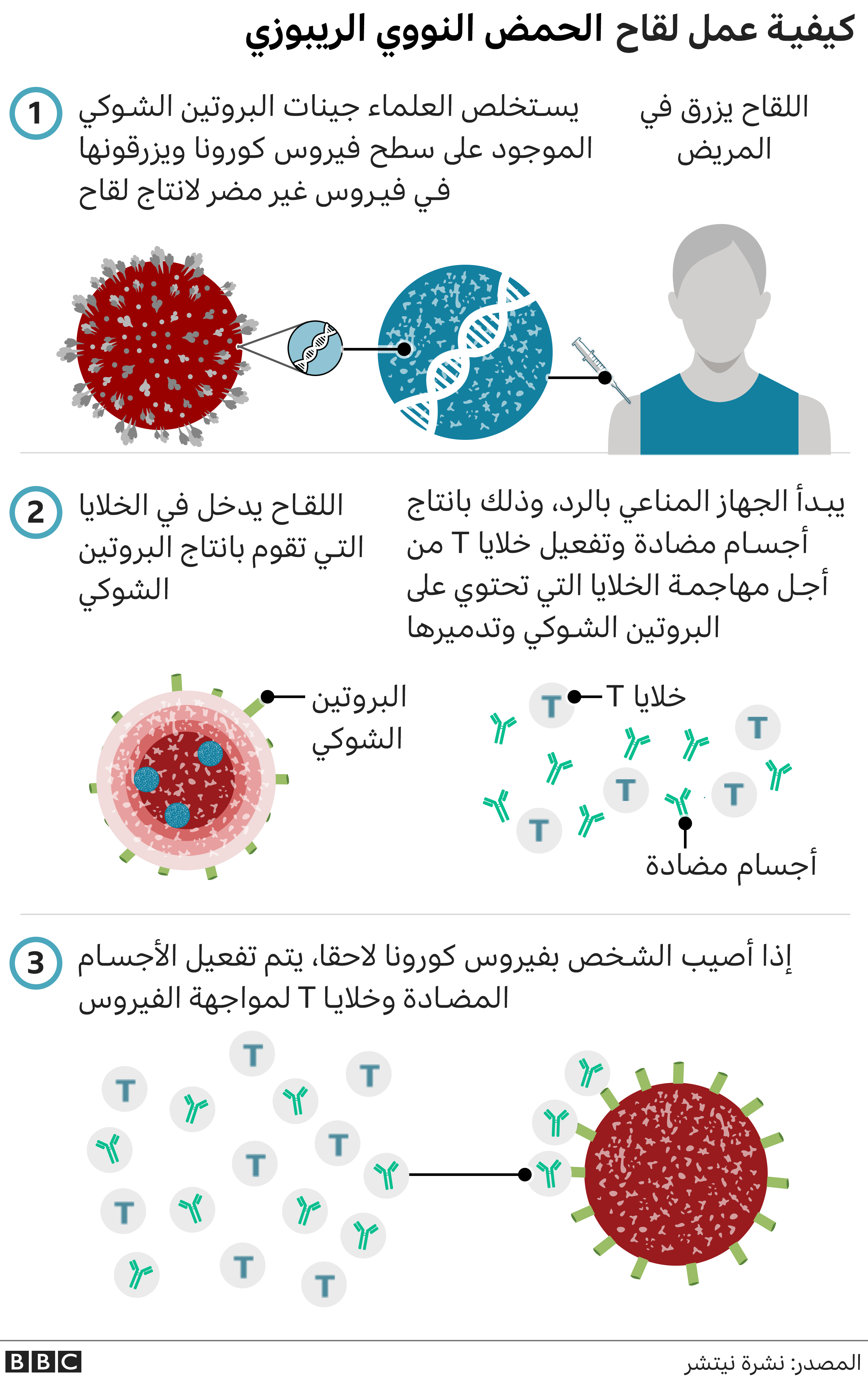 كيفية عمل لقاح الحمض النووي الريبوزي