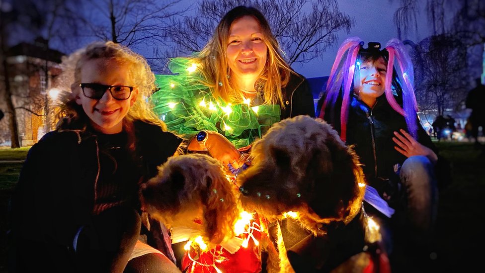 Владельцы собак создали световые костюмы для своих четвероногих друзей