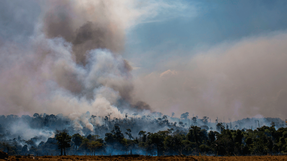 Шлейфы дыма поднимаются над пологом тропического леса Амазонки
