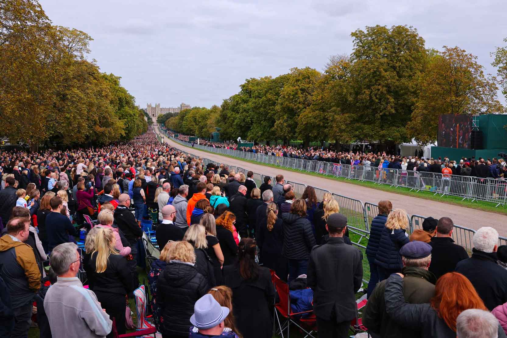 Crowds several rows deep line the funeral route.