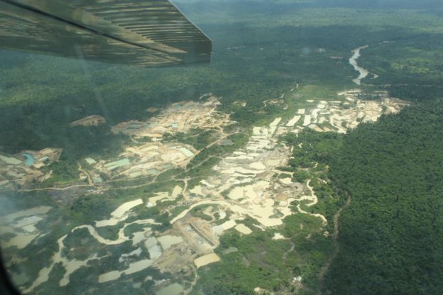 Brasil minas bosques amazonas