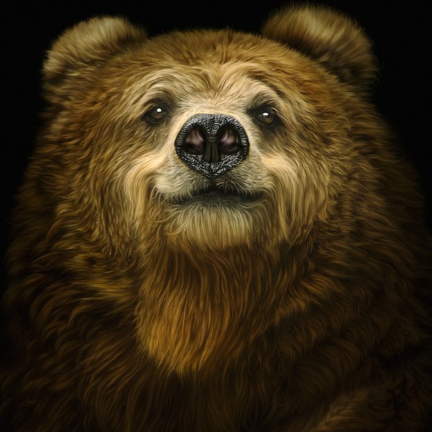 ¿Qué hace aquí un oso? Oso sonriendo