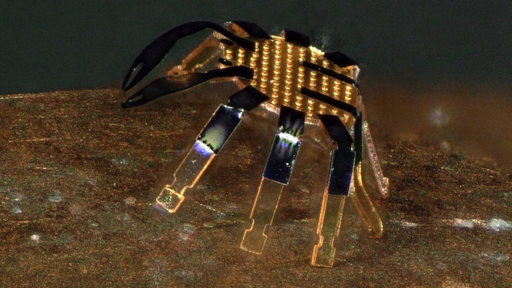 Robot developed that’s smaller than a flea