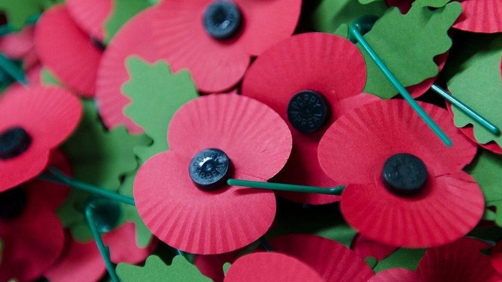 Red Poppy To Mark Civilian Victims Of War And Acts Of Terrorism c News