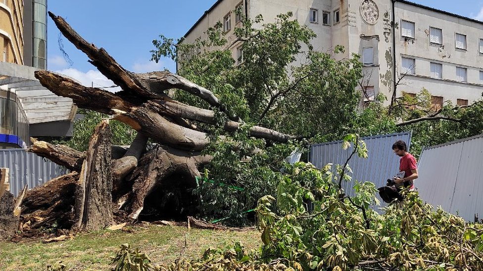 Superćelijska oluja: Kolika je šteta od nevremena u Srbiji i ko će da je plati 6 korpivić