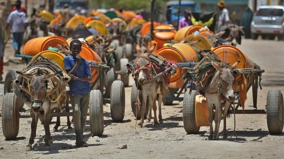 Молодой мальчик ждет рядом со своей повозкой с осликами, чтобы наполнить бочки водой, прежде чем продать ее 15 марта 2017 года в Байдоа, в юго-западном районе залива Сомали, где распространение холеры унесло жизни десятков внутренне перемещенных лиц, спасающихся бегством. выжженная сельская местность