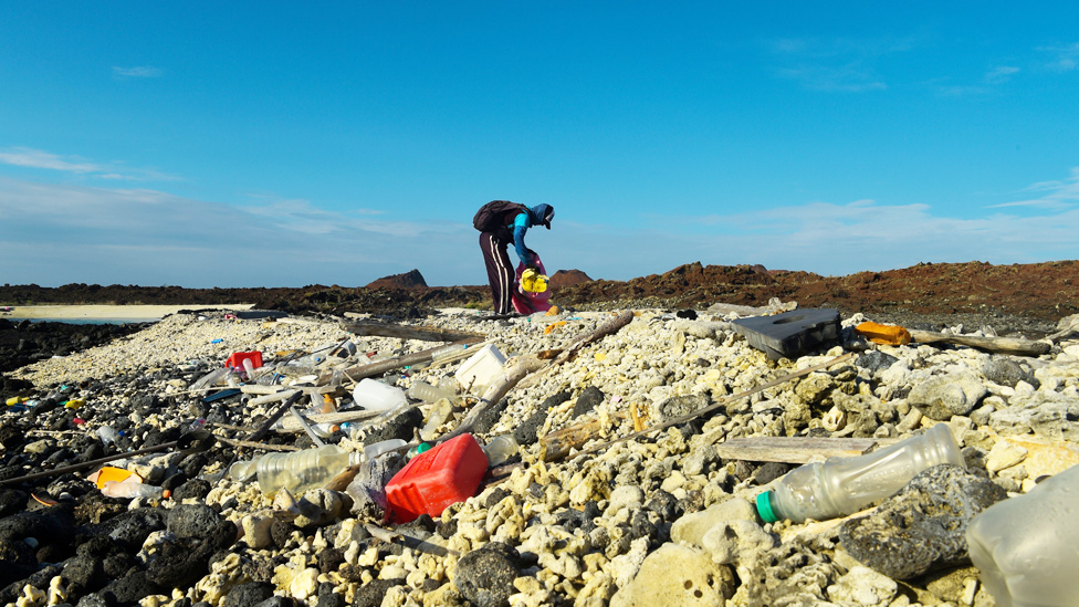 Voluntario juntando basura plástica en la isla Isabela