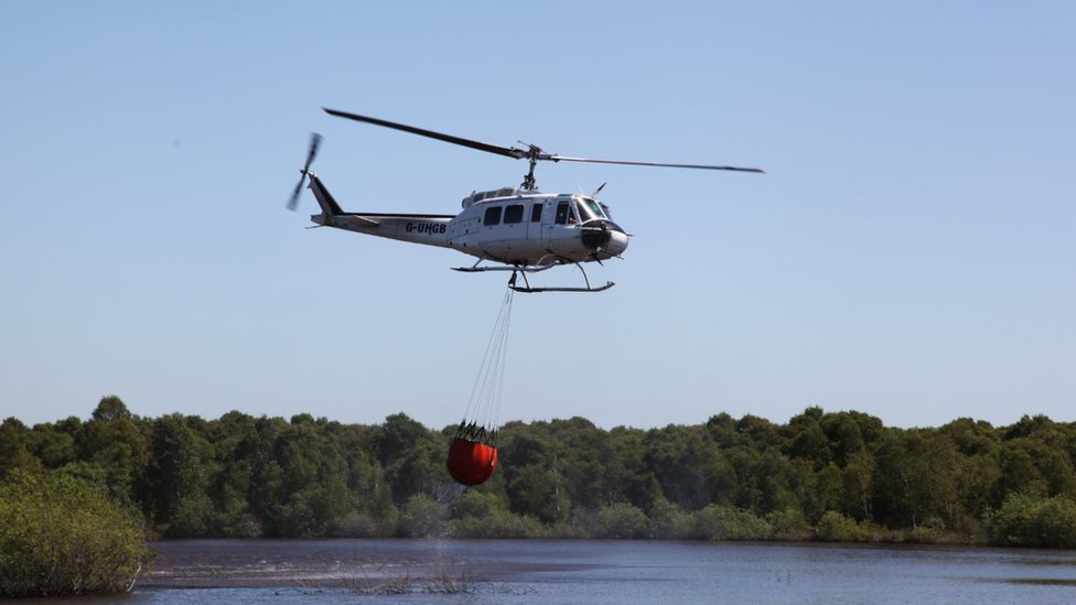 Вертолет черпает воду для тушения пожара