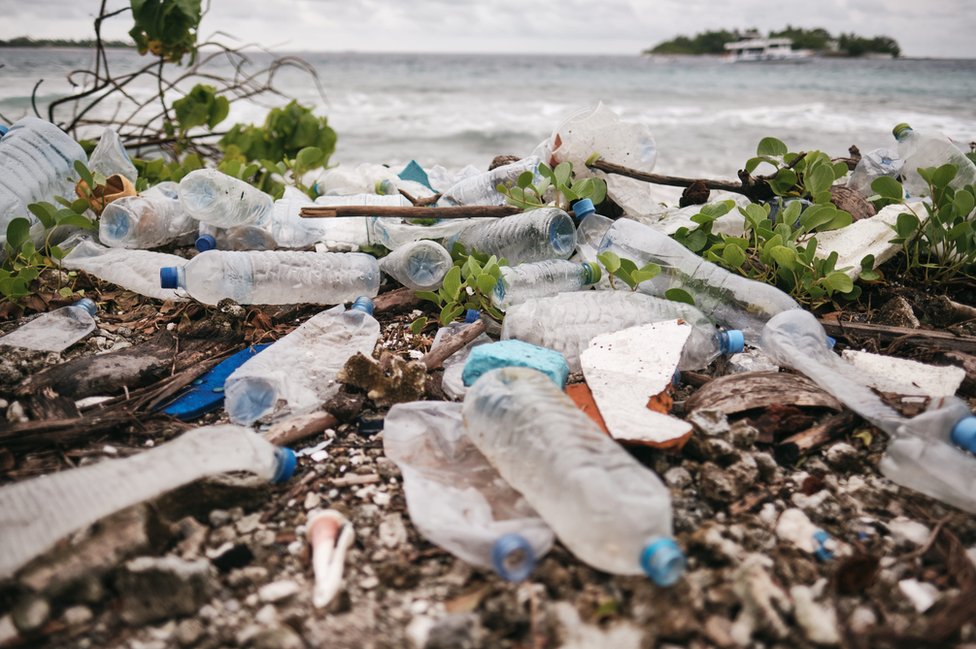 Una playa contaminada con botellas de plástico