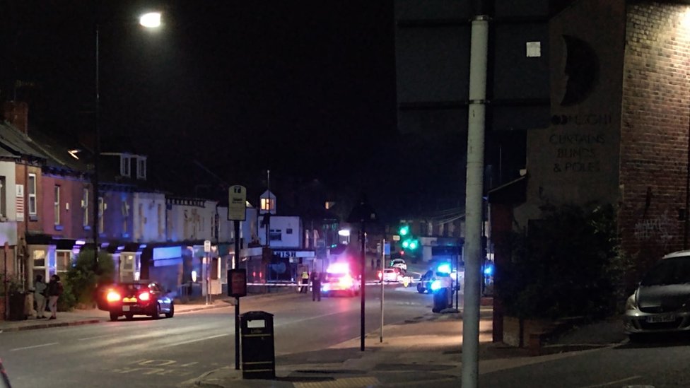 Dog hurt in Sheffield shooting put down BBC News