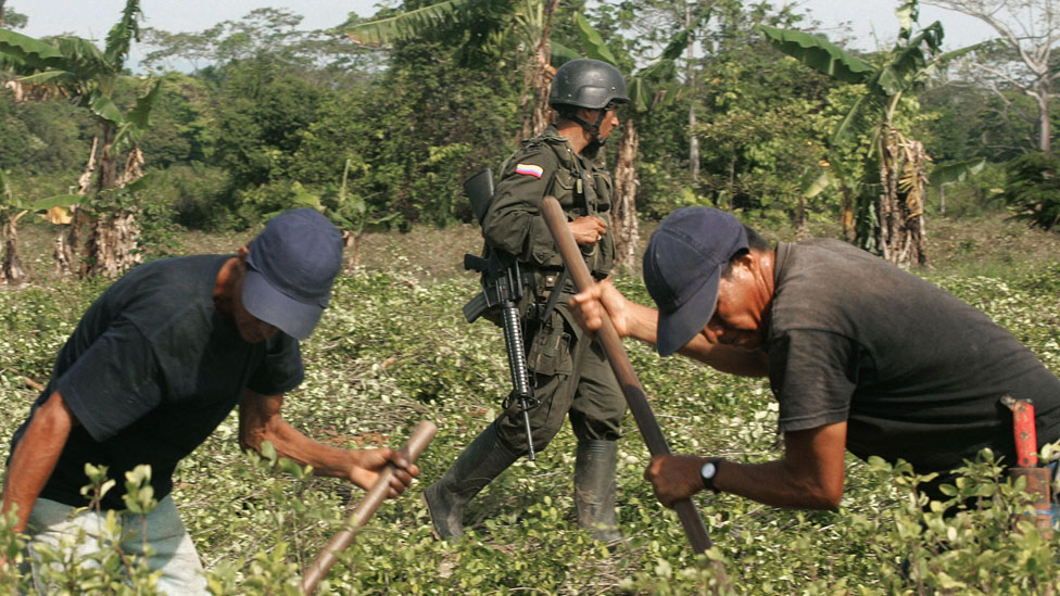 Guerrilla en Colombia