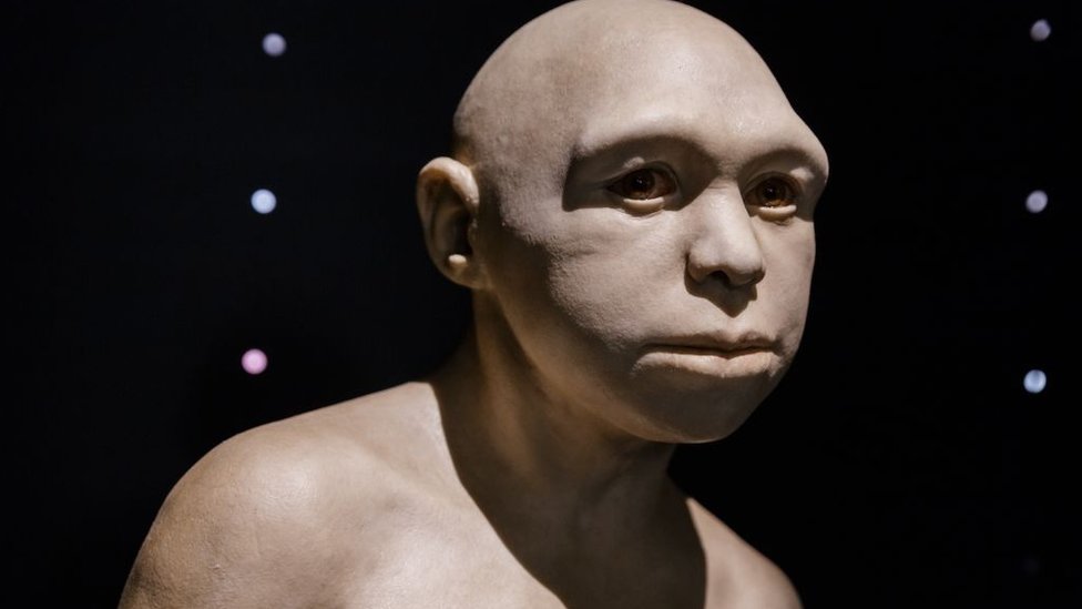 Una escultura que representa al Homo antecessor.