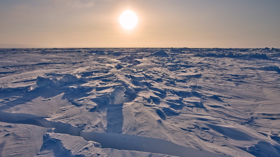 Hielo marino en el Ártico