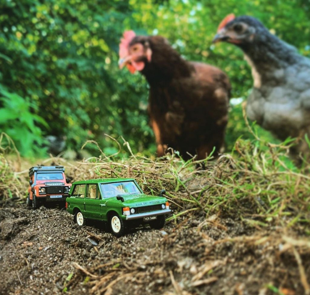 Модели красно-зеленого Land Rover наблюдают цыплята
