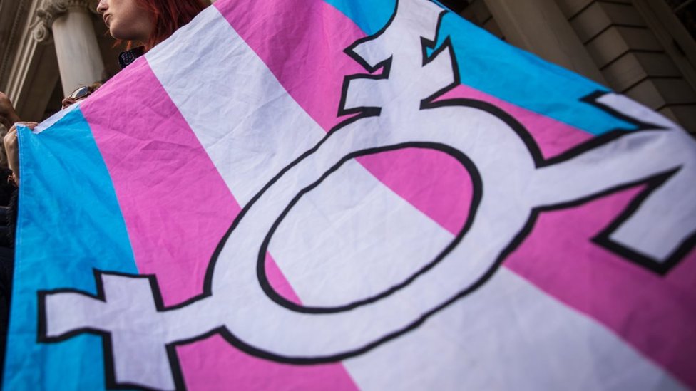 transgender bayrağı